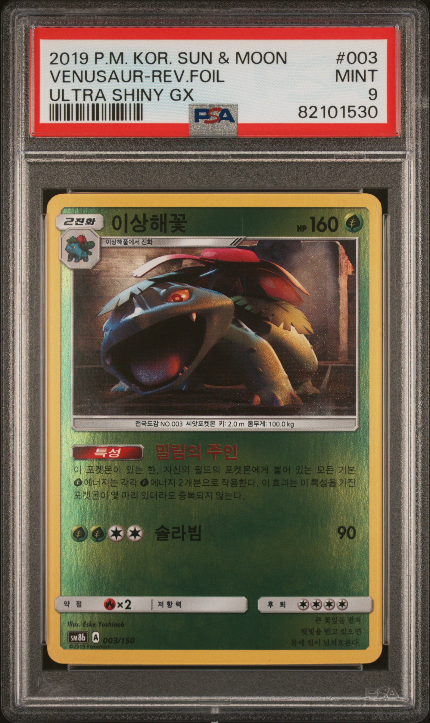 이상해꽃 사진 1