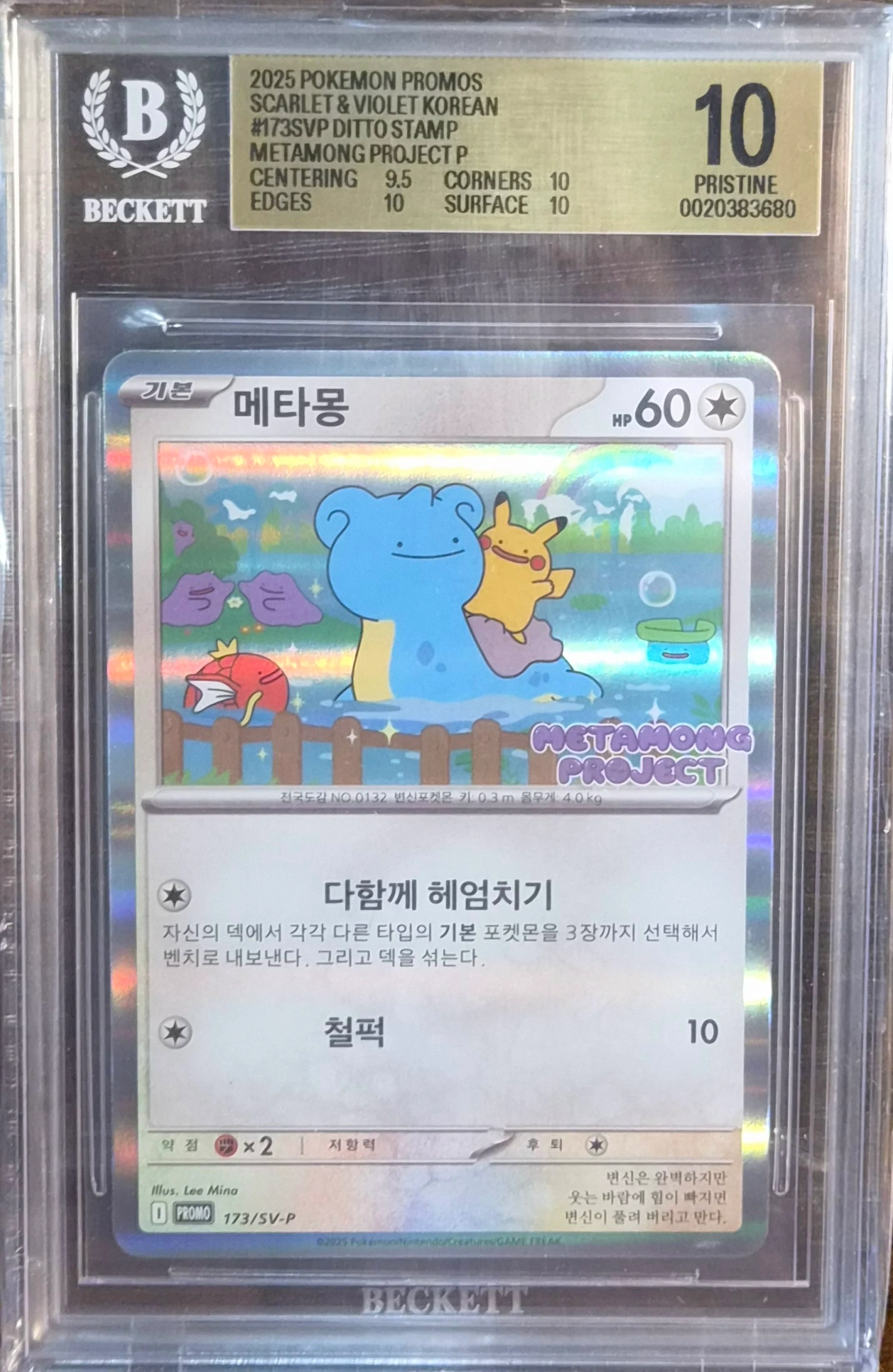 메타몽 사진 1