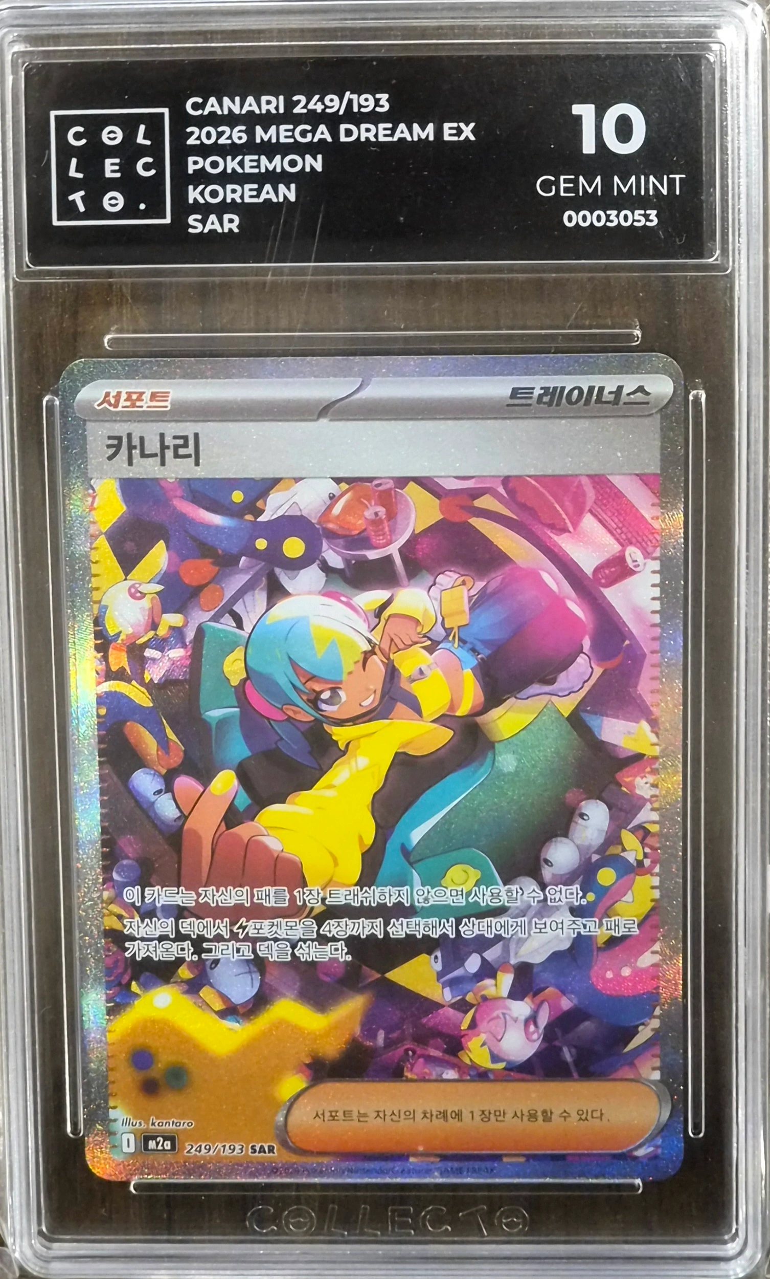 카나리 사진 1