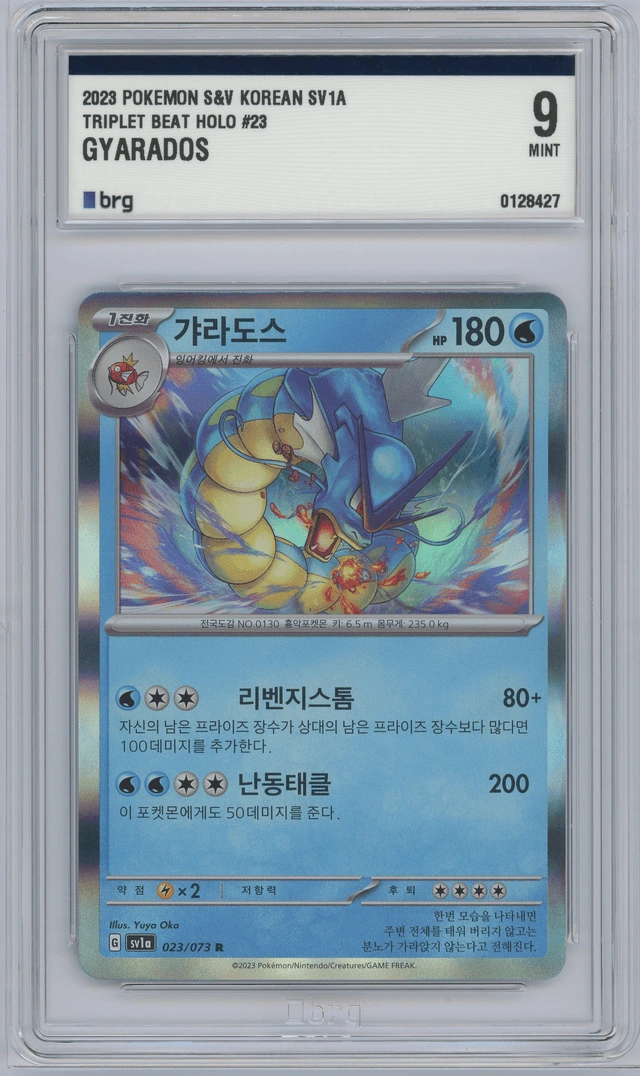 갸라도스 사진 1
