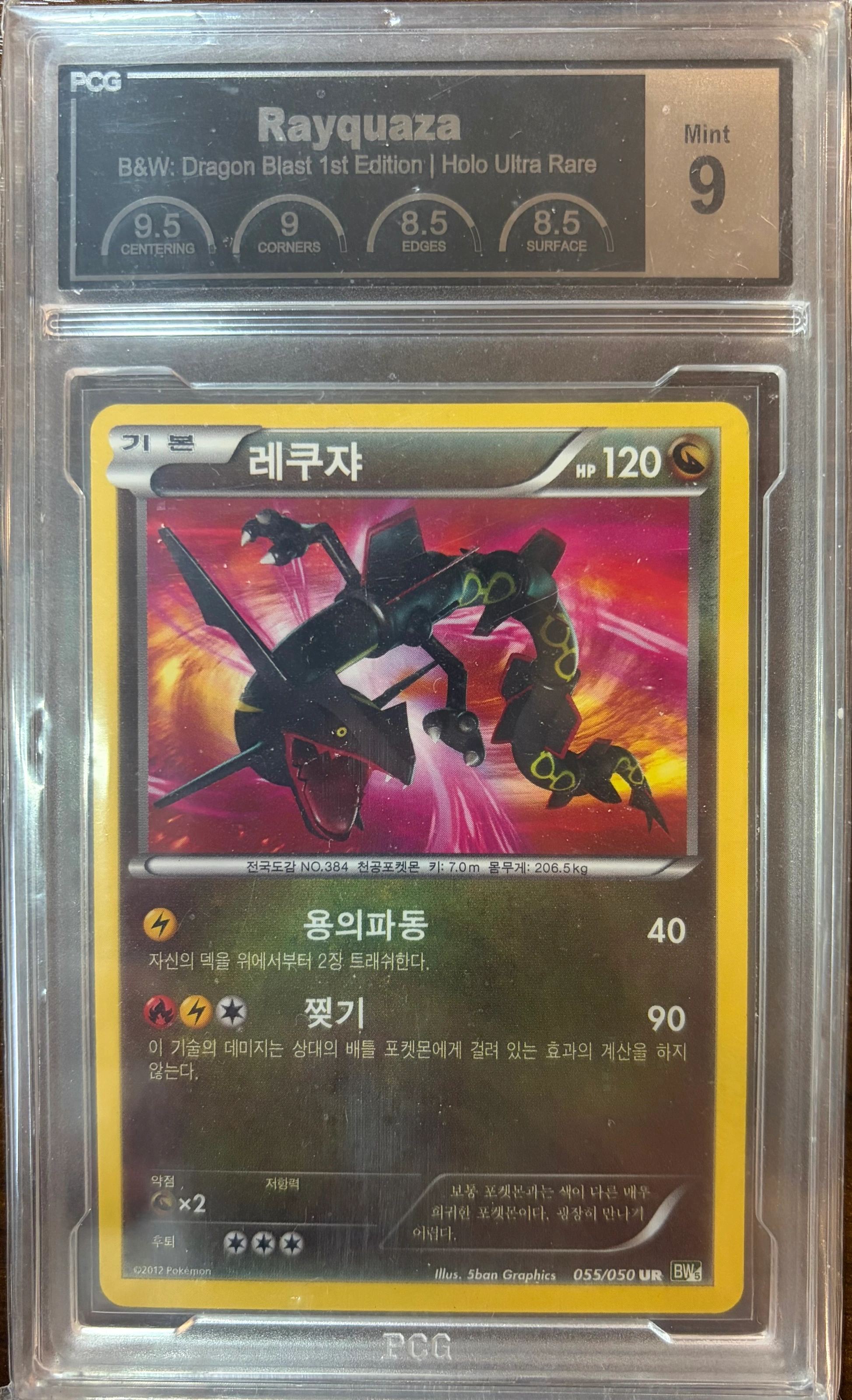 레쿠쟈 사진 1