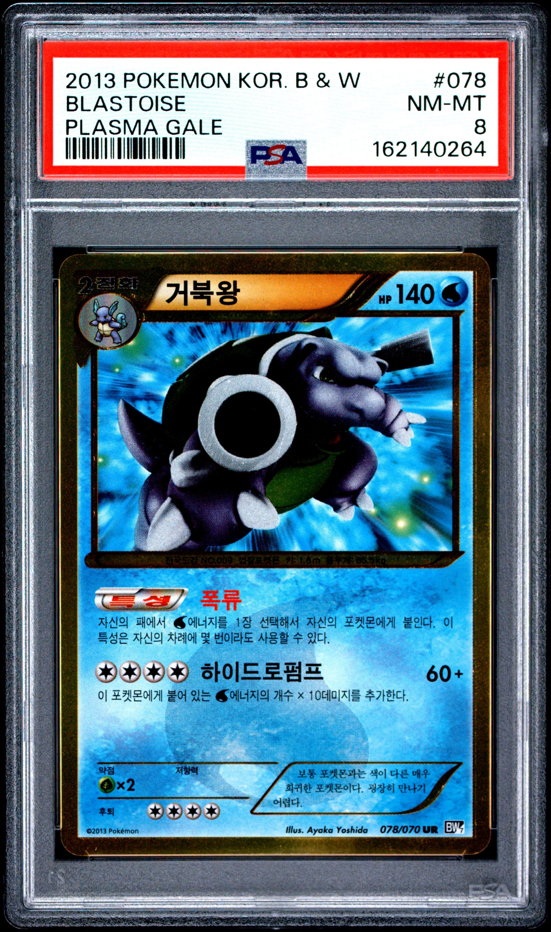 거북왕 사진 1