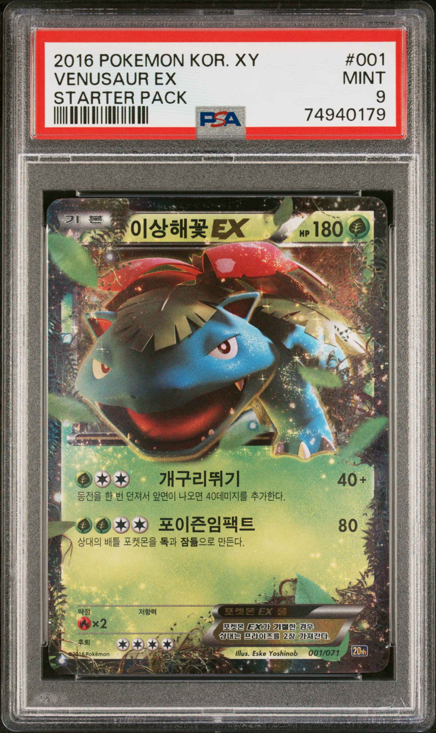 이상해꽃ex 사진 1