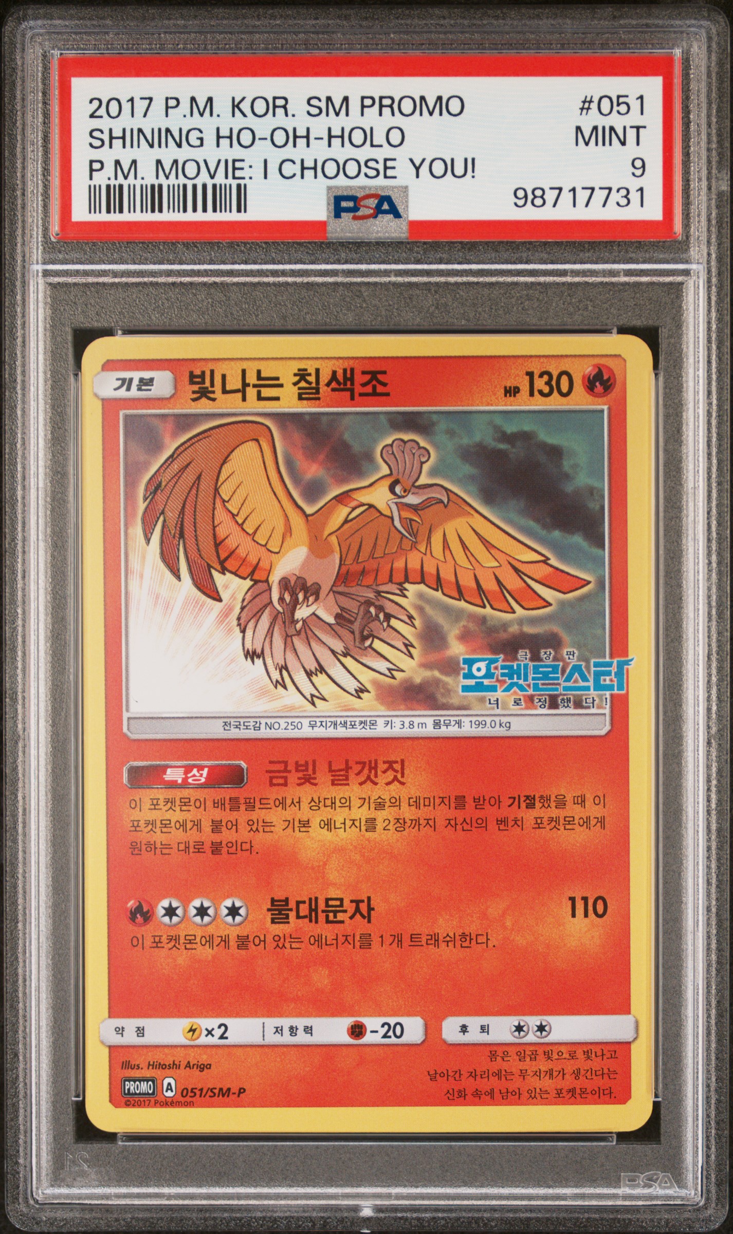 빛나는 칠색조 사진 1