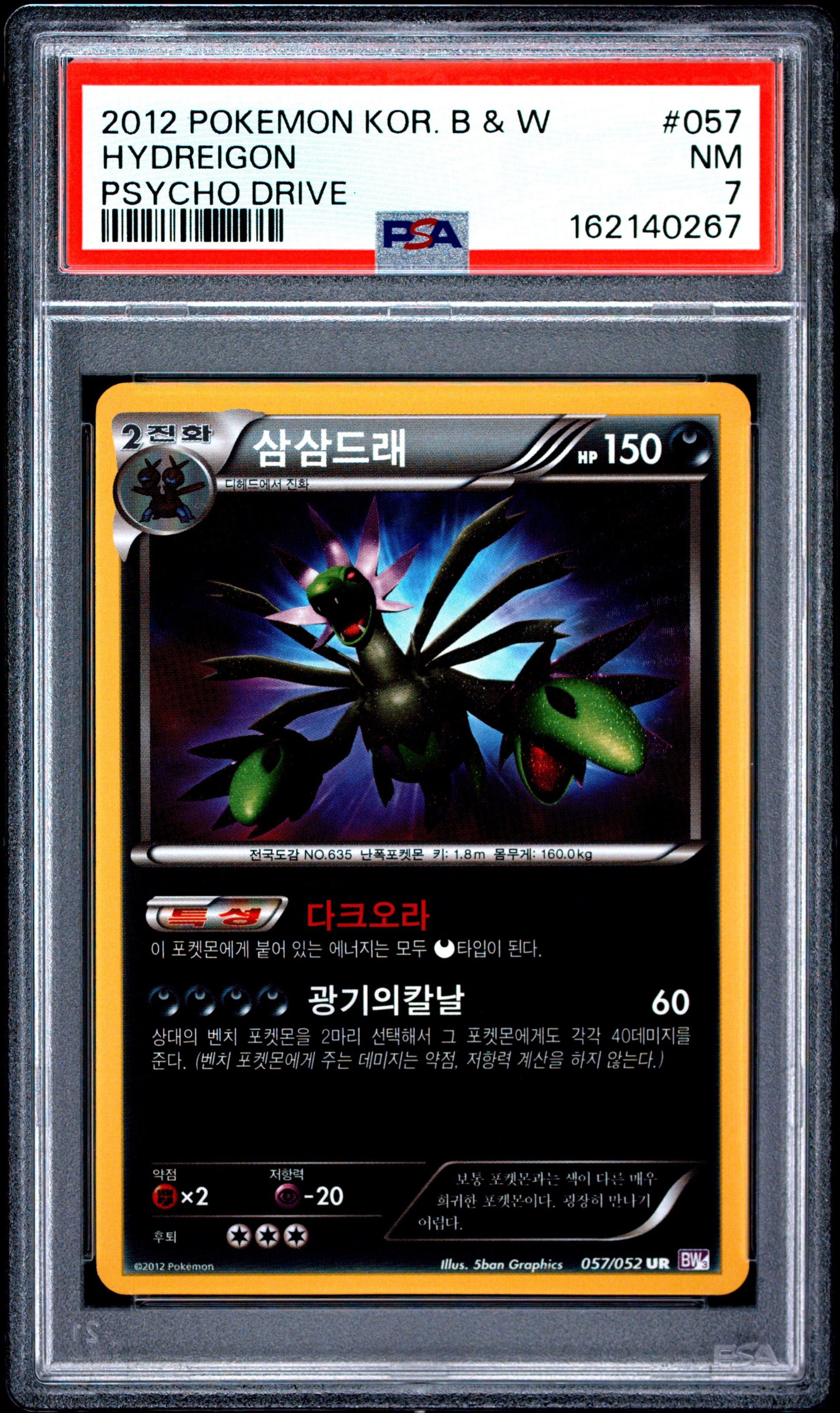 삼삼드래 사진 1