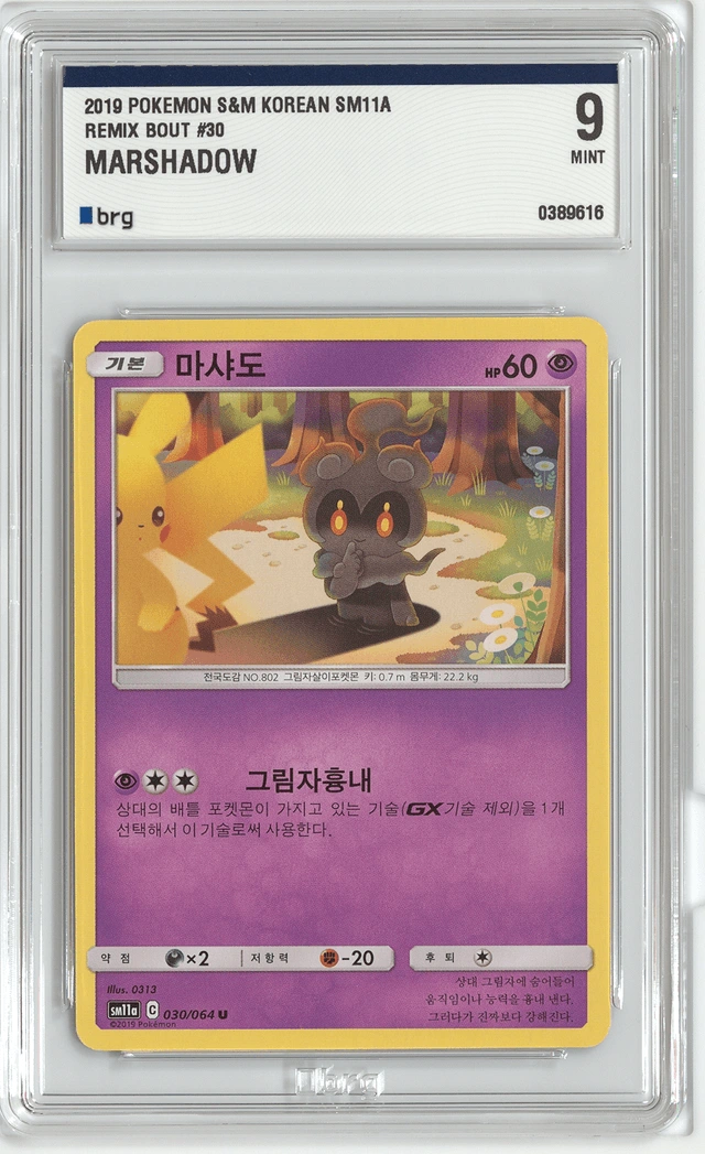 마샤도 사진 1