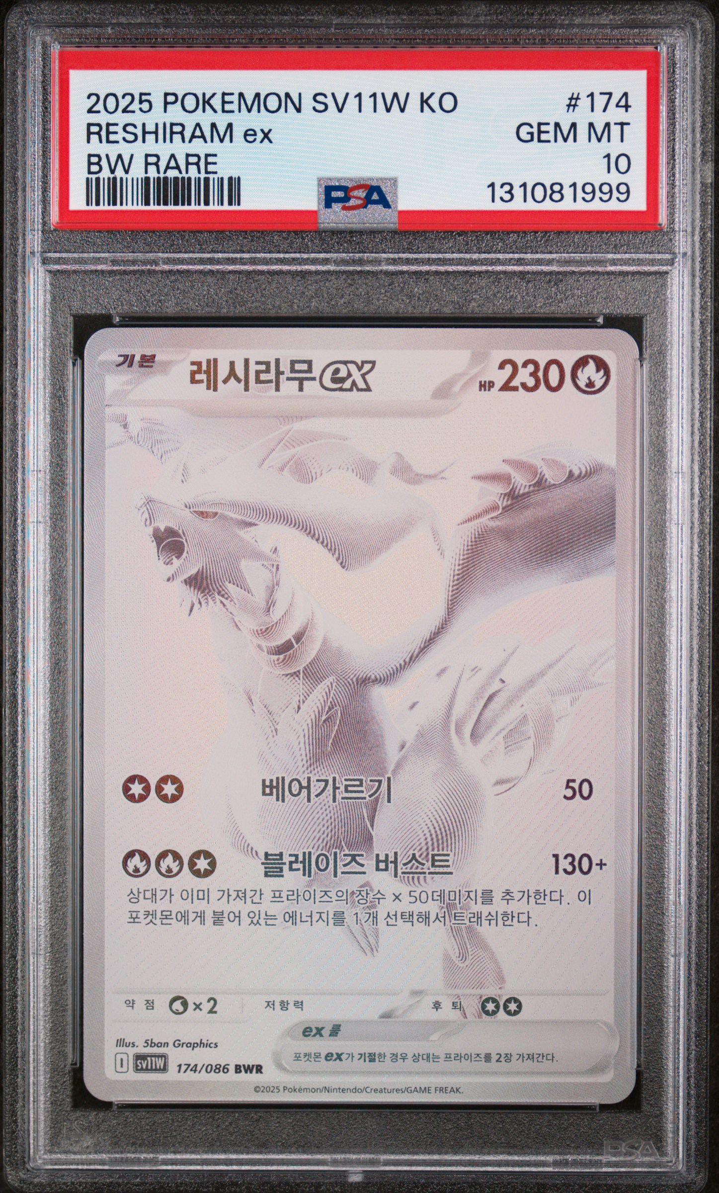 레시라무ex 사진 1