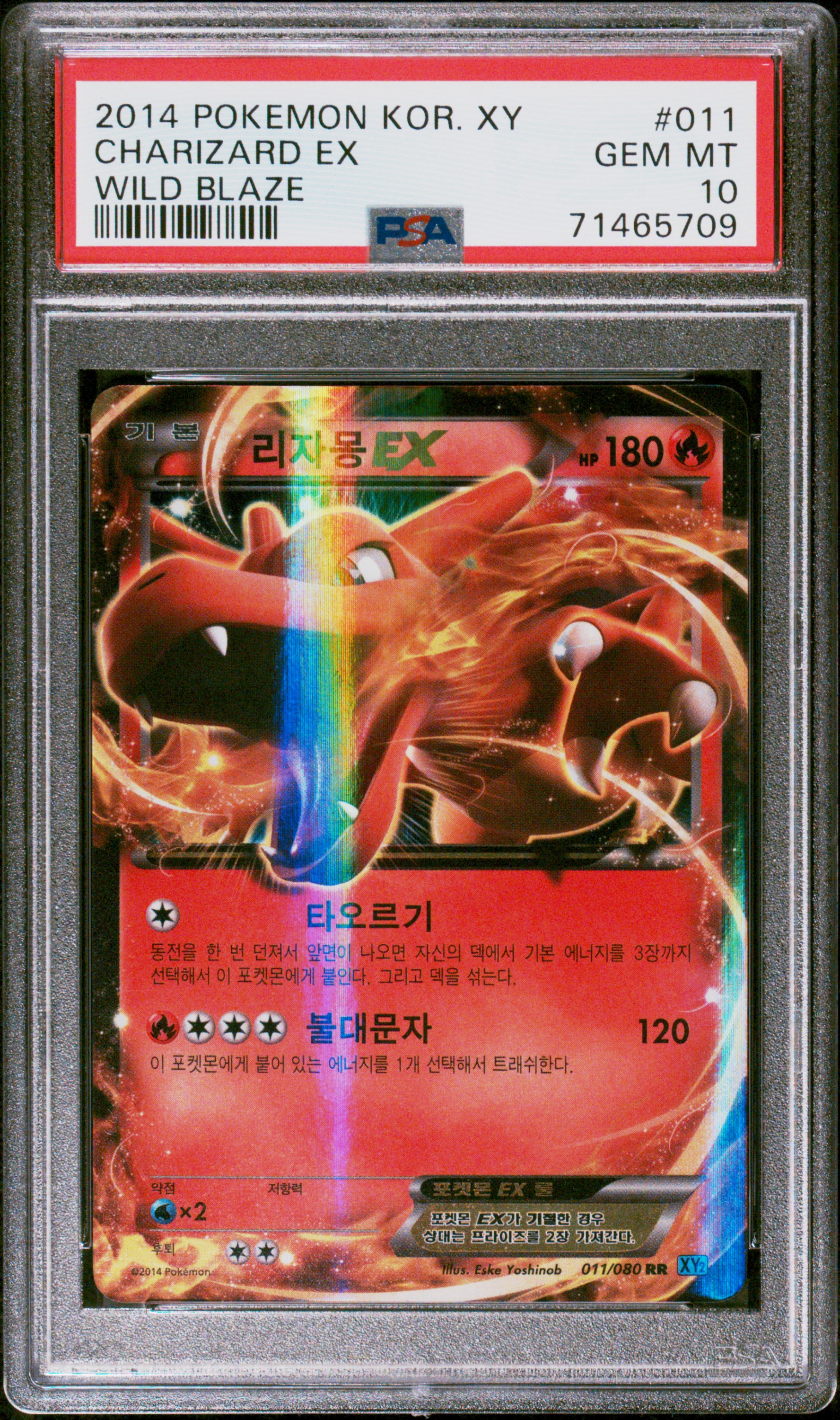 리자몽ex 사진 1