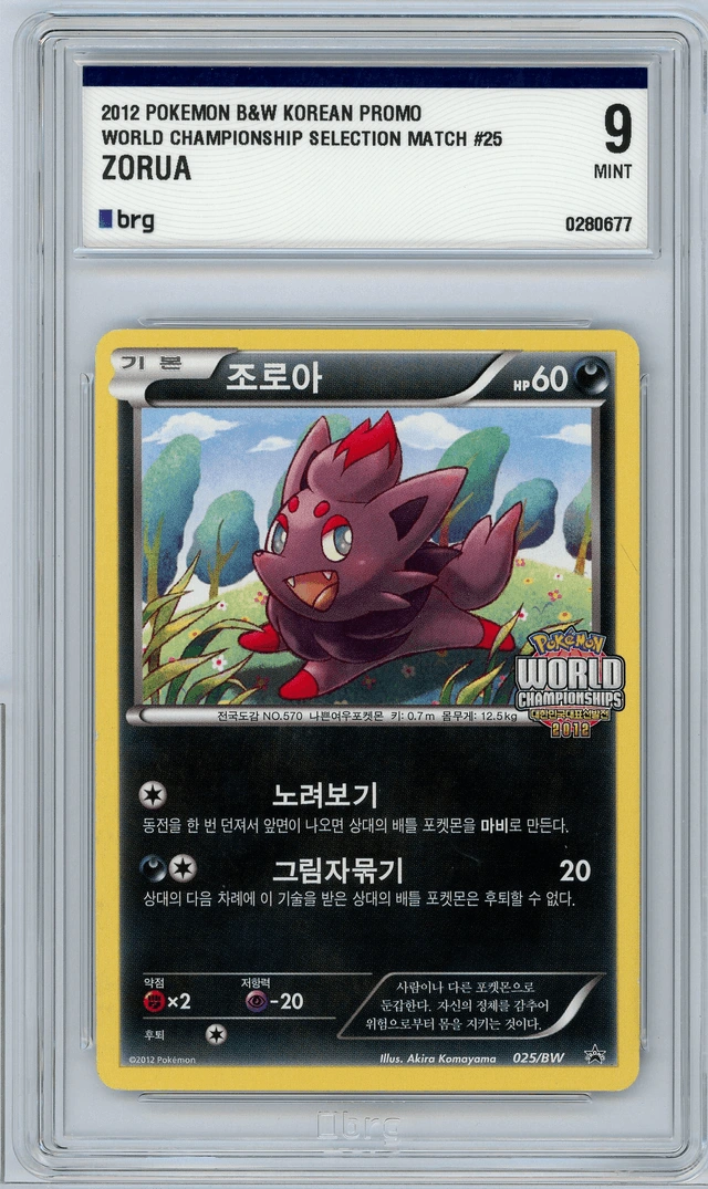 조로아 사진 1