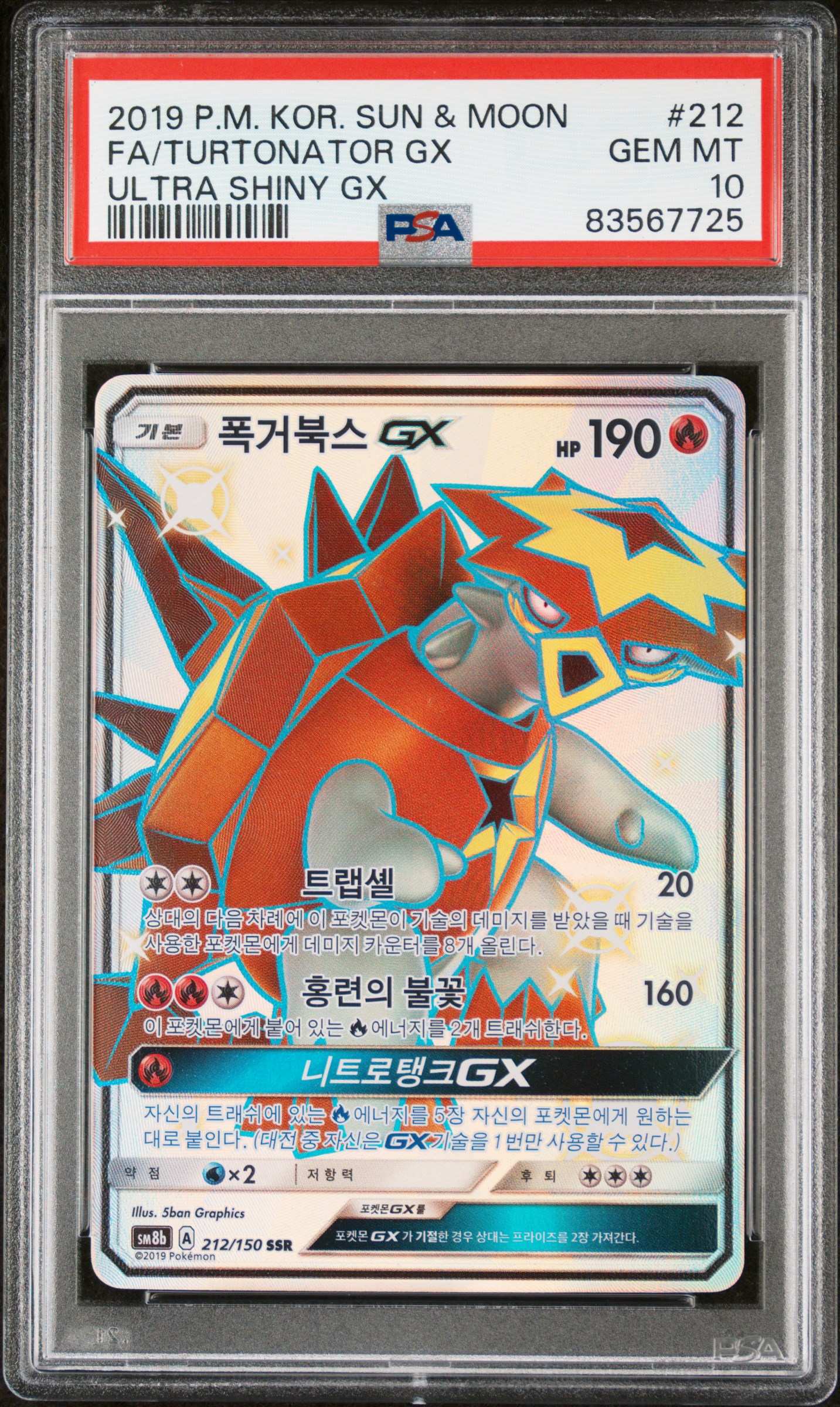 폭거북스GX 사진 1