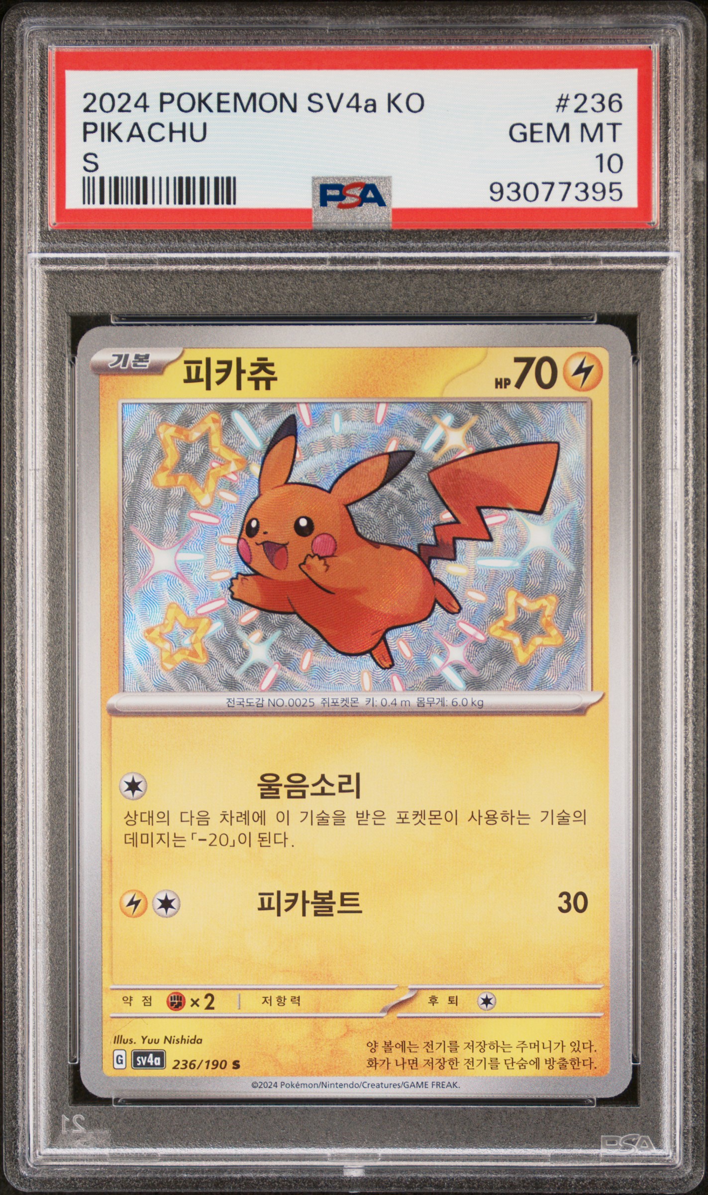피카츄 사진 1