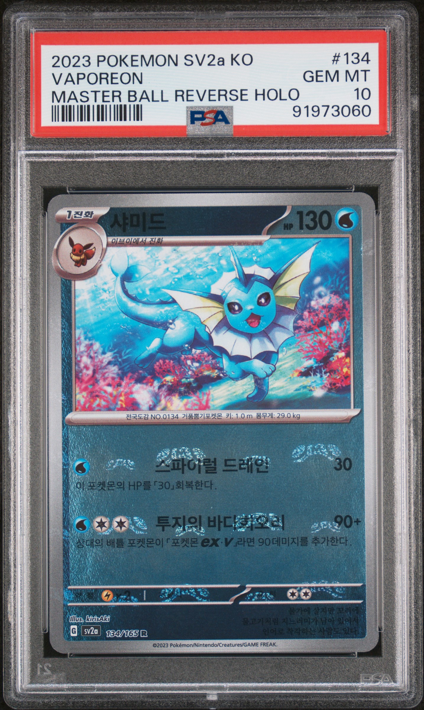 샤미드 사진 1