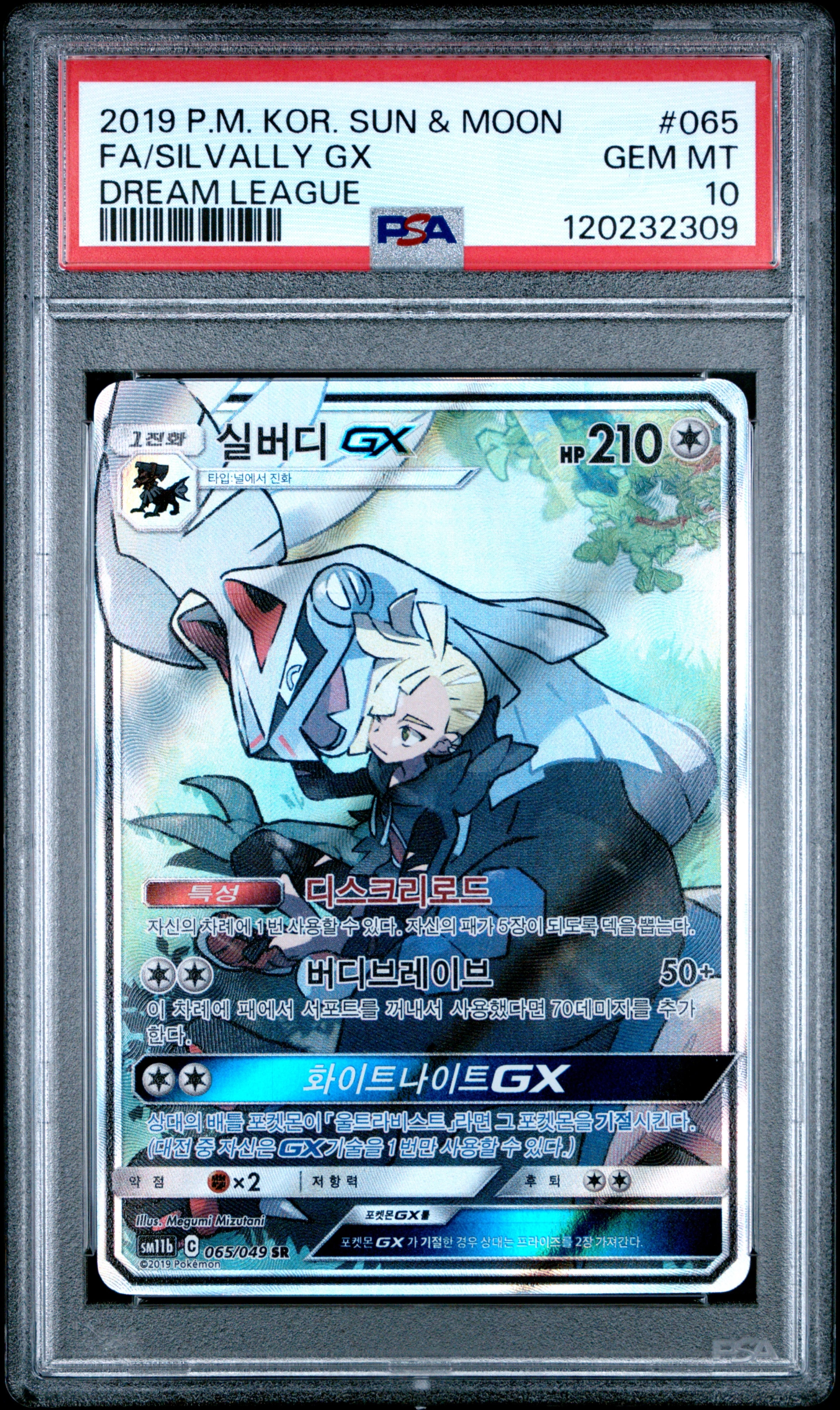 실버디GX 사진 1