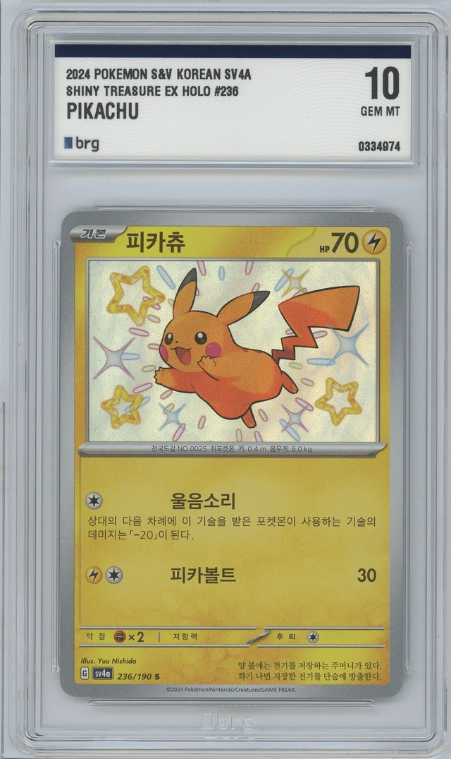 피카츄 사진 1