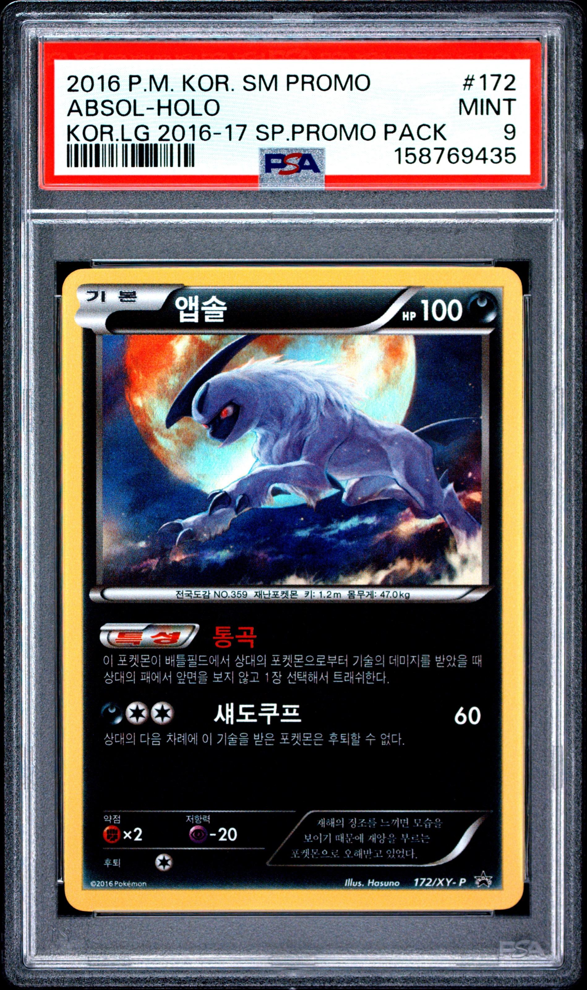 앱솔 사진 1